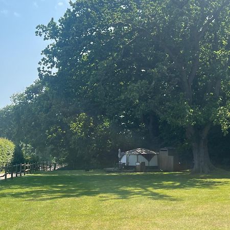 Old Dairy Farm Glamping Hotel Emsworth Kültér fotó